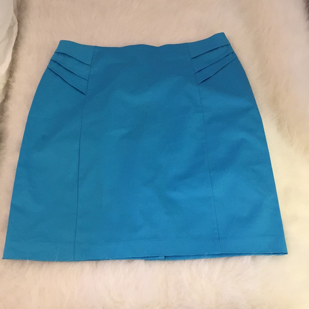 Women’s New York & Company Skirt